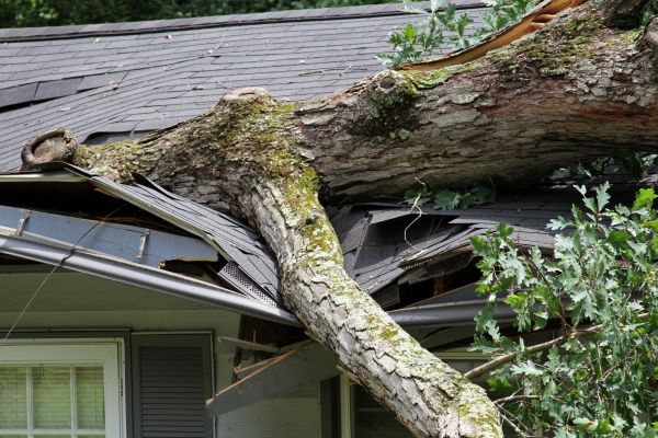 Cost of Storm Remediation in Anoka