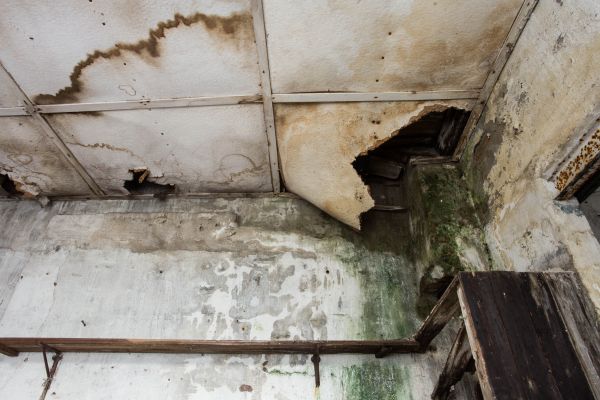 Cost of Water Damage Service in Anoka