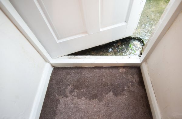 Cost of Wet Carpet Restoration in Anoka