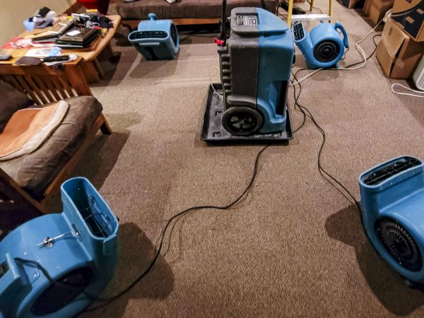 Cost of Flood Damage Recovery in Anoka