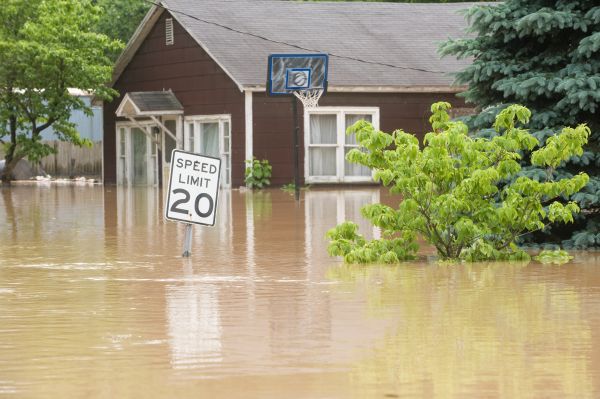 Cost of Storm Restoration Service in Anoka