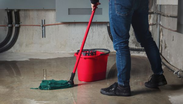 Cost of Flooded Basement Cleanup in Anoka
