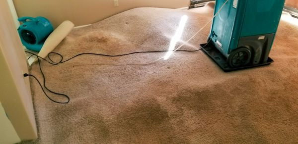 Cost of Flood Damage Cleanup in Anoka