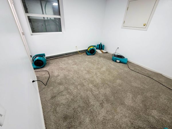 Cost of Flood Restoration Service in Anoka