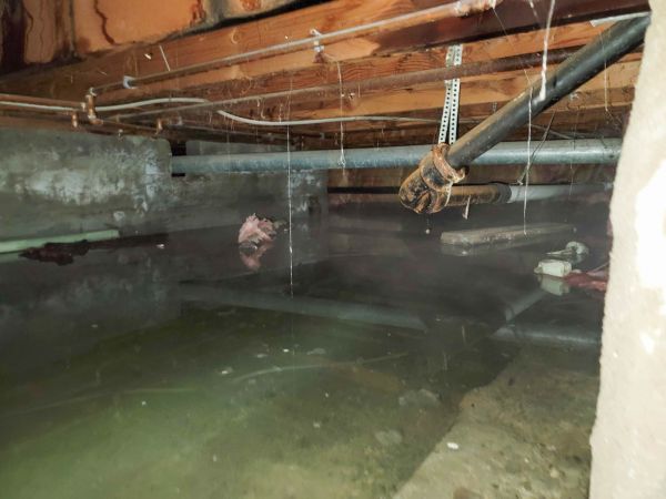 Cost of Crawl Space Drying in Anoka